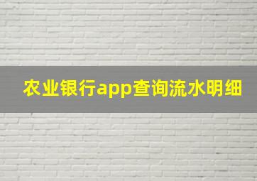 农业银行app查询流水明细