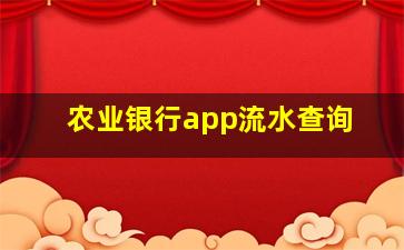 农业银行app流水查询