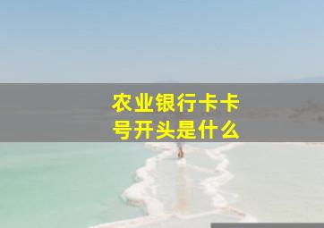 农业银行卡卡号开头是什么