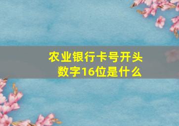 农业银行卡号开头数字16位是什么