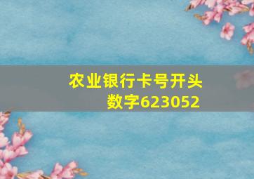 农业银行卡号开头数字623052