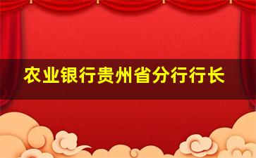 农业银行贵州省分行行长