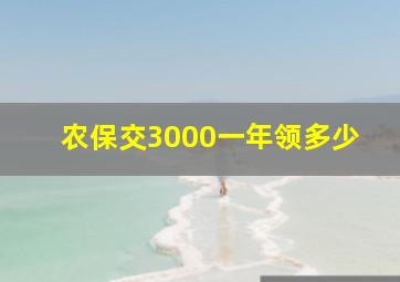 农保交3000一年领多少