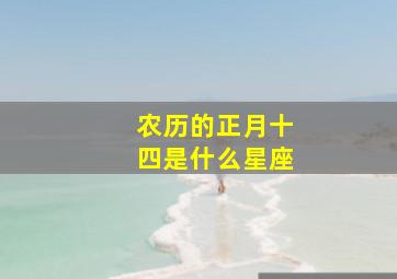 农历的正月十四是什么星座