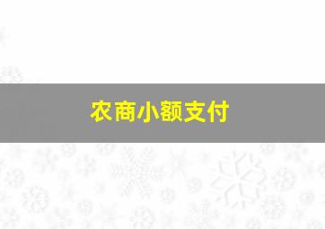 农商小额支付