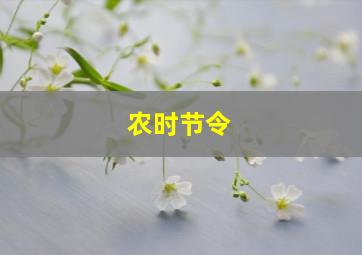 农时节令