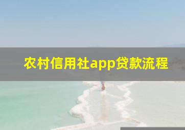 农村信用社app贷款流程