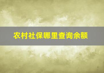 农村社保哪里查询余额