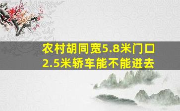 农村胡同宽5.8米门口2.5米轿车能不能进去