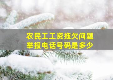 农民工工资拖欠问题举报电话号码是多少