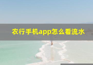 农行手机app怎么看流水