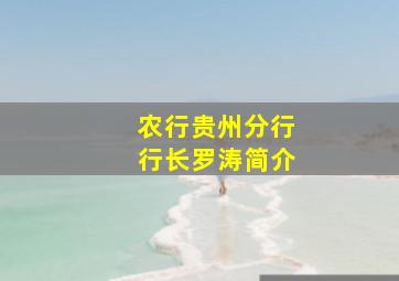 农行贵州分行行长罗涛简介