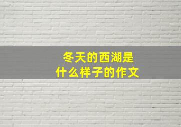 冬天的西湖是什么样子的作文