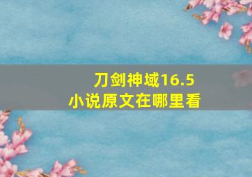 刀剑神域16.5小说原文在哪里看