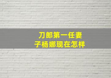 刀郎第一任妻子杨娜现在怎样