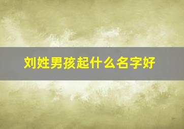 刘姓男孩起什么名字好