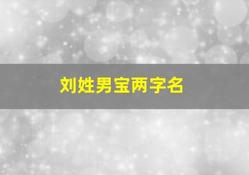 刘姓男宝两字名