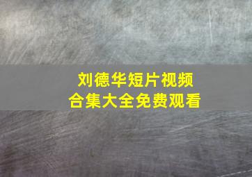 刘德华短片视频合集大全免费观看