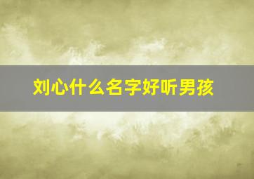 刘心什么名字好听男孩