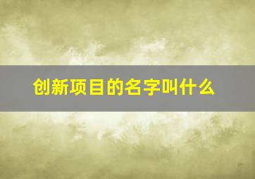 创新项目的名字叫什么