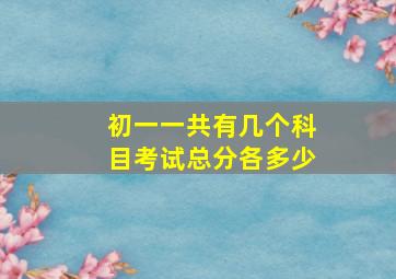 初一一共有几个科目考试总分各多少