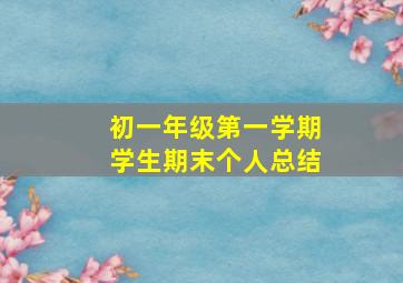 初一年级第一学期学生期末个人总结