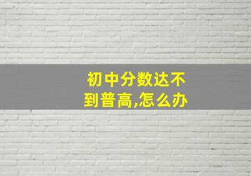 初中分数达不到普高,怎么办