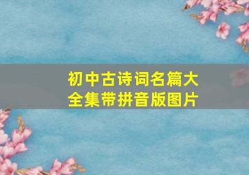 初中古诗词名篇大全集带拼音版图片