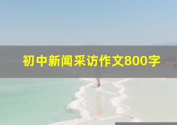 初中新闻采访作文800字