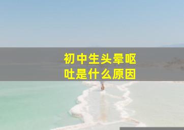 初中生头晕呕吐是什么原因