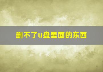 删不了u盘里面的东西