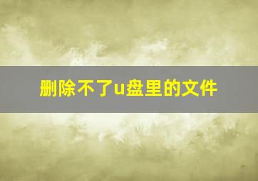 删除不了u盘里的文件