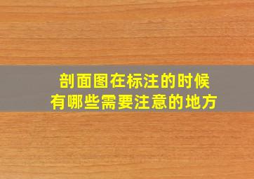 剖面图在标注的时候有哪些需要注意的地方