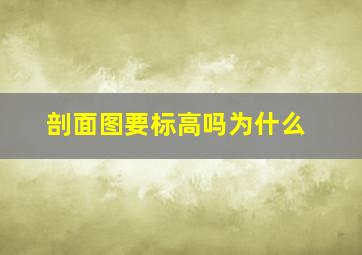 剖面图要标高吗为什么