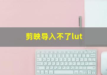 剪映导入不了lut