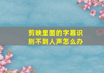 剪映里面的字幕识别不到人声怎么办