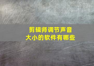 剪辑师调节声音大小的软件有哪些