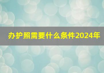 办护照需要什么条件2024年