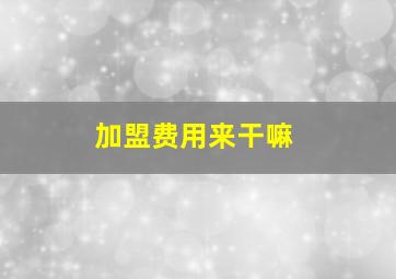 加盟费用来干嘛