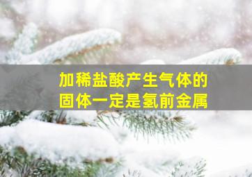 加稀盐酸产生气体的固体一定是氢前金属