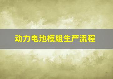 动力电池模组生产流程