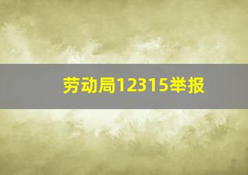 劳动局12315举报