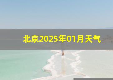 北京2025年01月天气