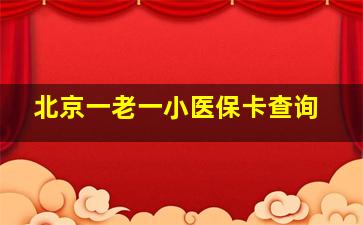 北京一老一小医保卡查询