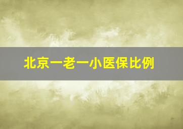 北京一老一小医保比例