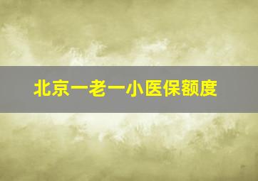 北京一老一小医保额度