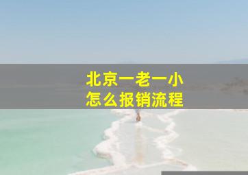 北京一老一小怎么报销流程