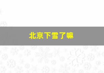 北京下雪了嘛