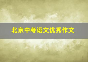 北京中考语文优秀作文