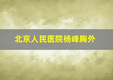 北京人民医院杨峰胸外